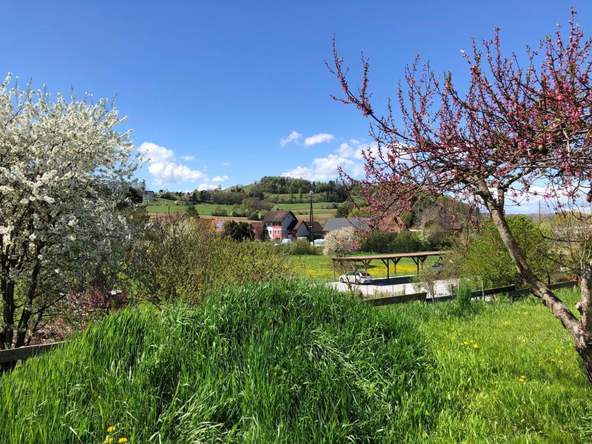 Ferienwohnungen Und Appartements Im Idyllischen Vierkanthof, Gruppenurlaube Fürstenfeld Zewnętrze zdjęcie