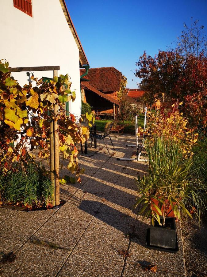 Ferienwohnungen Und Appartements Im Idyllischen Vierkanthof, Gruppenurlaube Fürstenfeld Zewnętrze zdjęcie